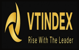  VT Index Logo
